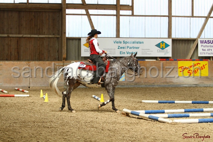 28-ApHC OT_294.jpg